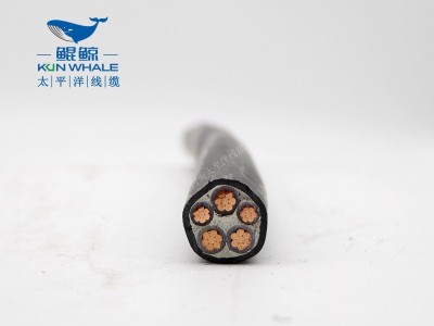 低烟无卤奇亿平台为您介绍wdzn-yjy5×10电缆