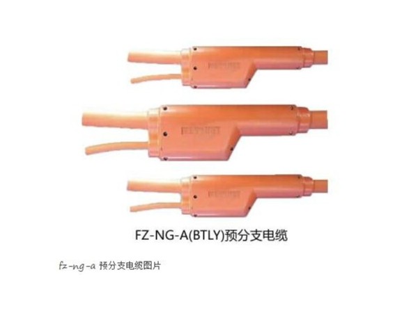 FZ-NG-A(FZ-<i style='color:red'>btly</i>)防火分支电缆