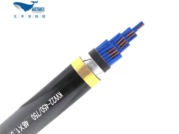 KVV22-450/750 48x1.5铠装控制电缆
